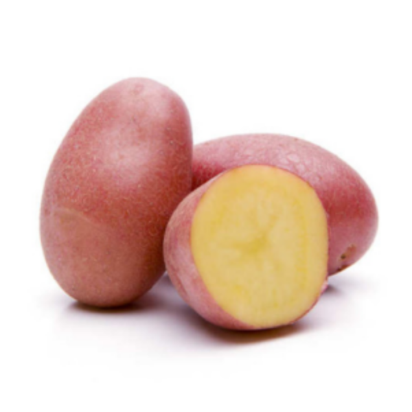Pomme de terre (Rouge)
