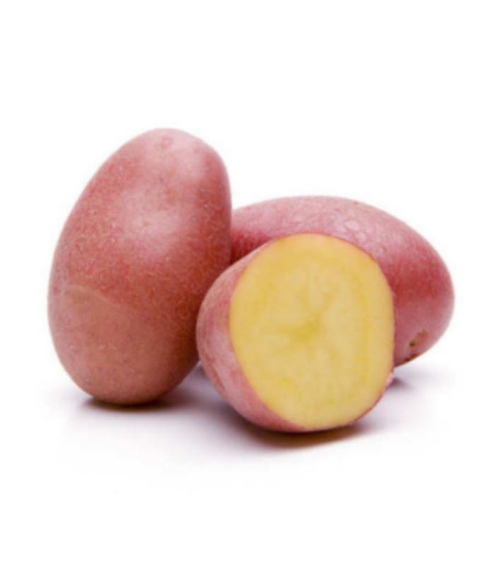 Publication Instagram Citation Moderne Elegant Noir et Blanc (700 x 800 px)(1) Pomme de terre (Rouge) – Image 1