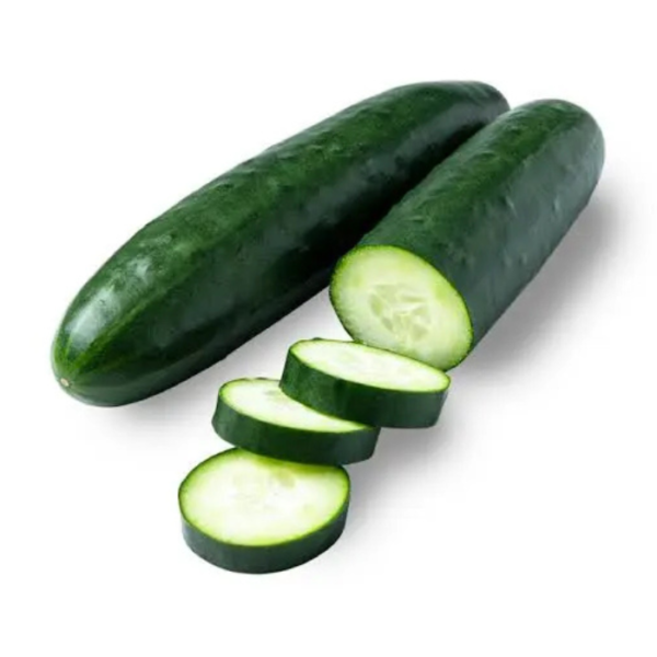 Concombre