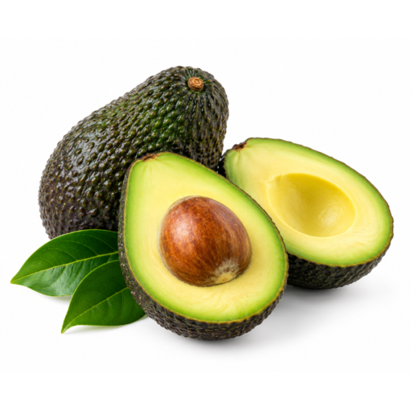 Avocat